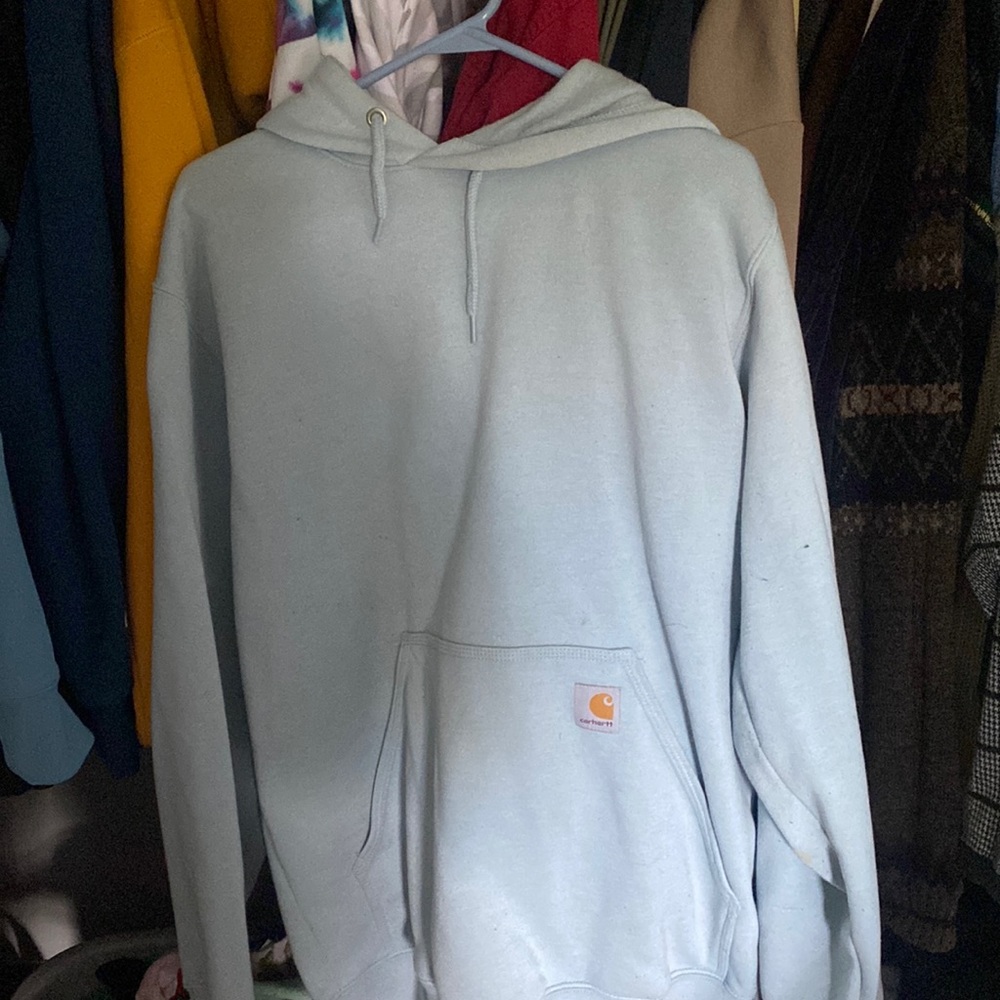 Baby blue carhart hoodie